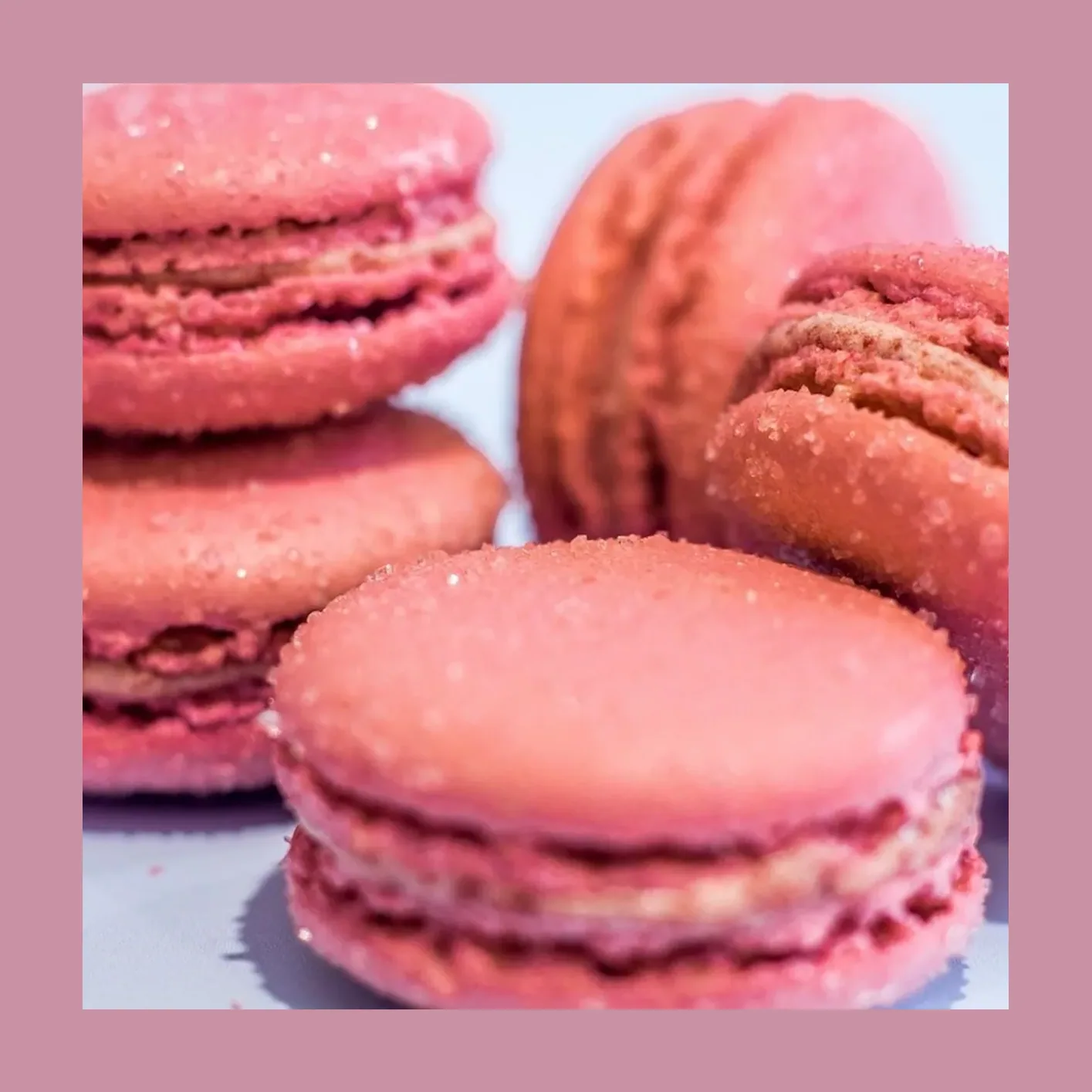 Macarons de frambuesa (imagen 1 de 3)