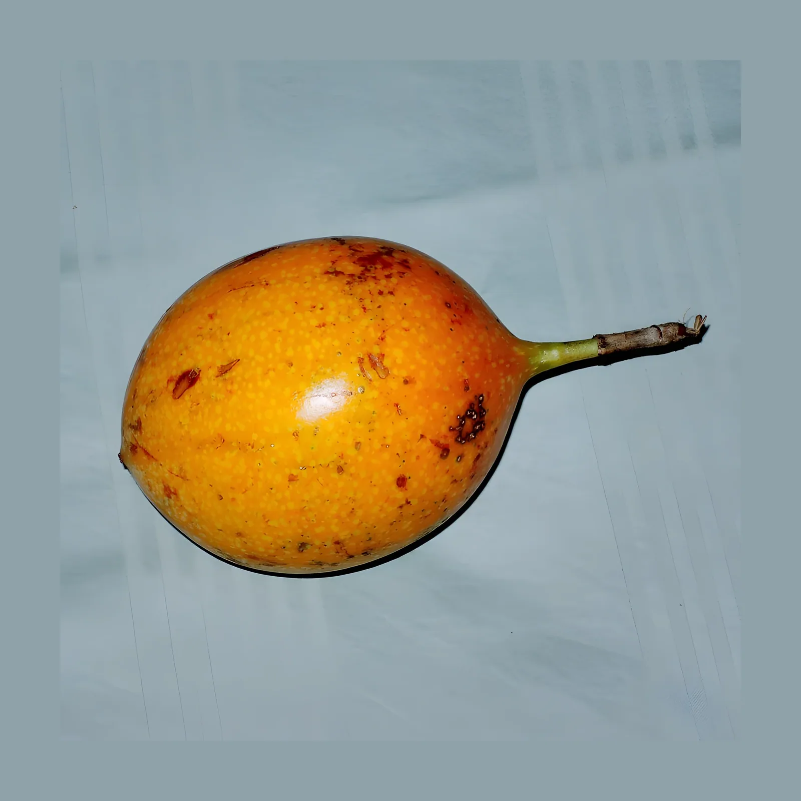 Granadilla — Unidad