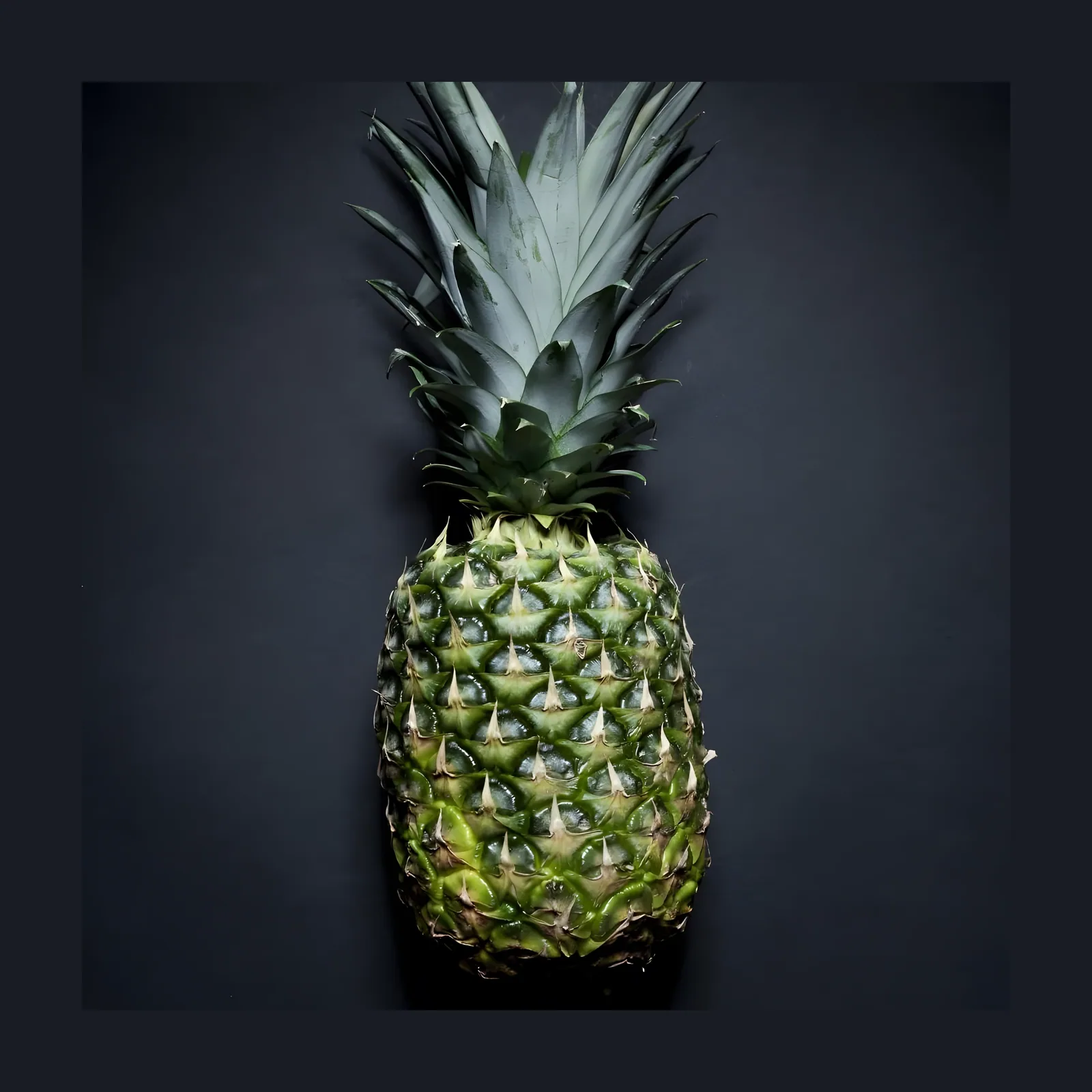Piña — Unidad