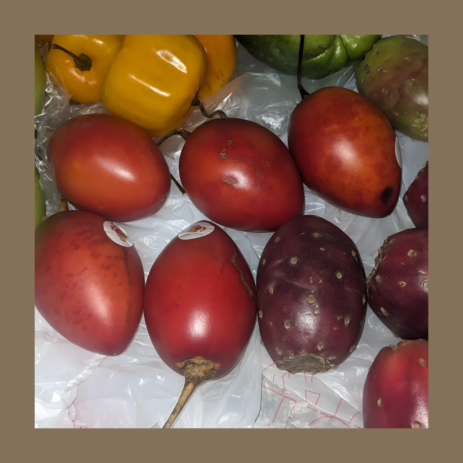 Tomate de árbol — Libra