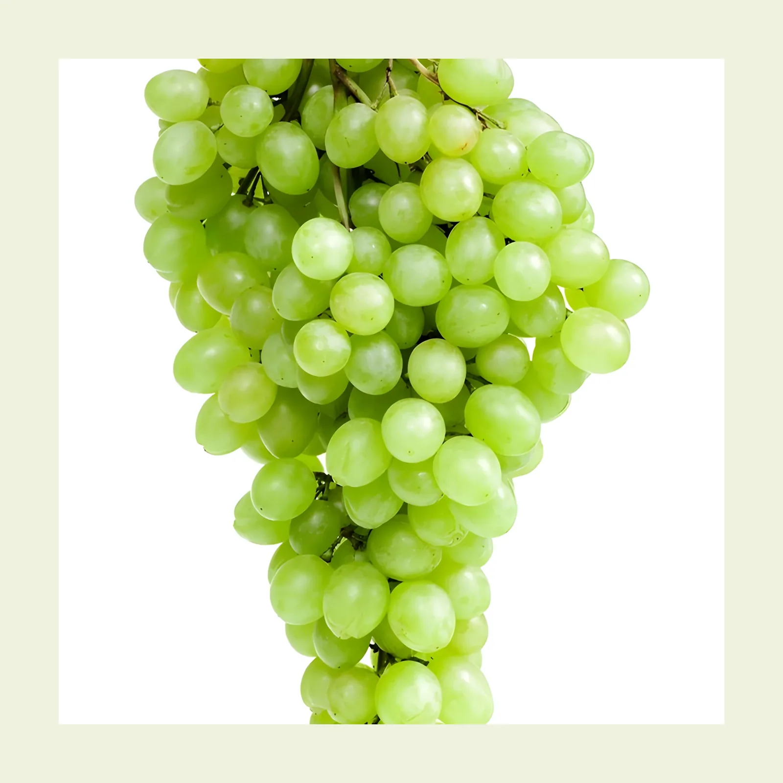 Uva verde sin semilla — Libra