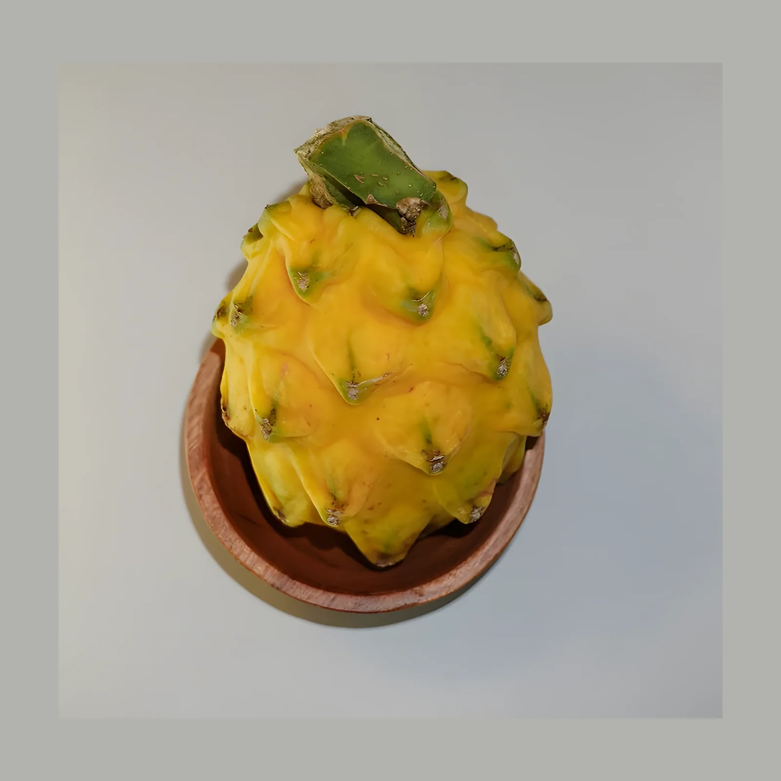 Pitaya — Libra